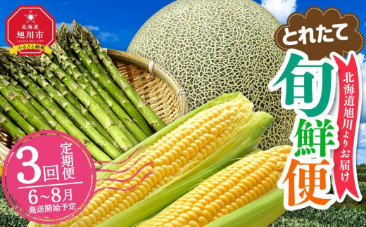 【2026年発送先行予約】とれたて旬鮮便～北海道旭川市から旬の定期便～_01107