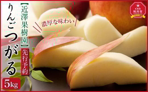 【先行予約】近澤果樹園 りんご「つがる」5kg（2025年10月上旬より発送予定）_01177