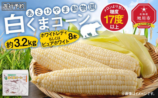 【先行予約】あさひやま動物園しろくまコーン約3.2kg(ホワイトレディもしくはピュアホワイト8本)2025年8月下旬～発送開始予定 _03811