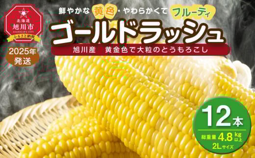 ◆ふるさとチョイス限定◆【先行予約】黄金色で大粒 ゴールドラッシュ 12本 4.8kg (2025年8月下旬より発送予定) _00408