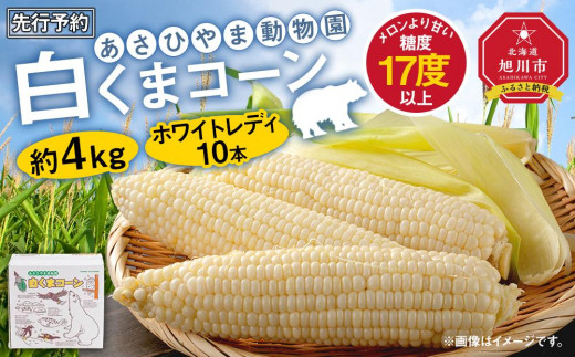 【先行予約】あさひやま動物園しろくまコーン約4kg(ホワイトレディ10本)2025年8月下旬～発送開始予定 _00308