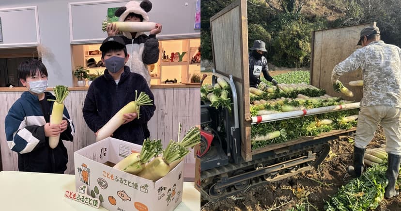 【三浦市】と連携し関東近郊のこども食堂へ三浦市産の‟青首大根1,960本“を届けました