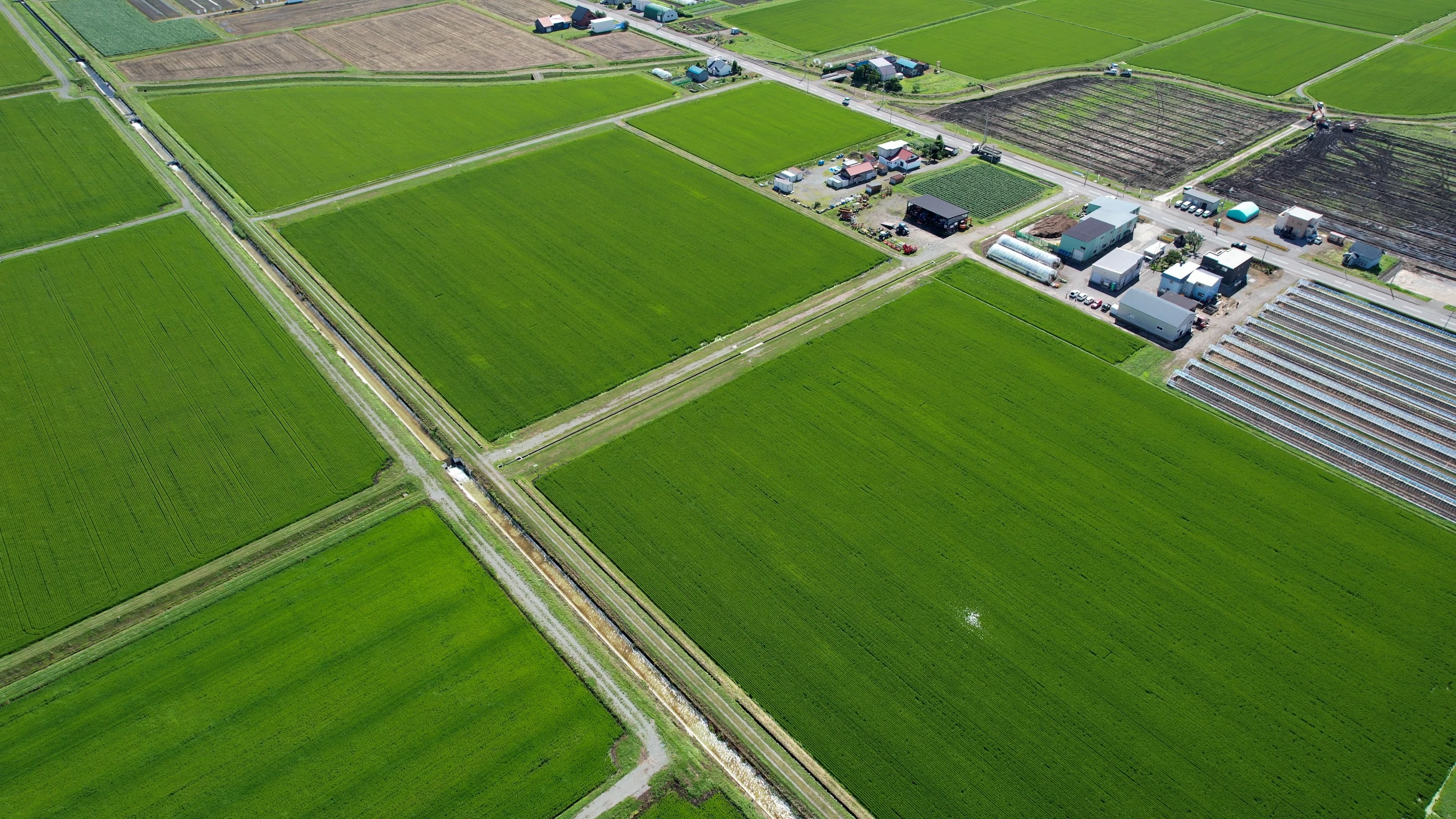 【旭川市】と連携しこども食堂やひとり親世帯へ“旭川産ななつぼし”を約4.5t届けました