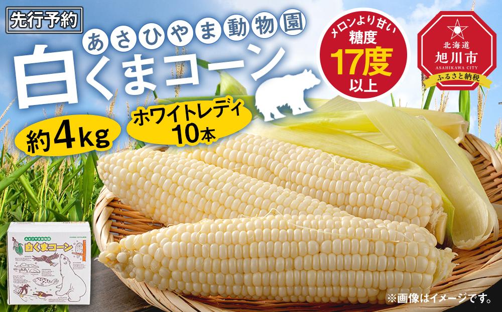 【先行予約】あさひやま動物園しろくまコーン約4kg(ホワイトレディ10本)2025年8月下旬～発送開始予定_00308